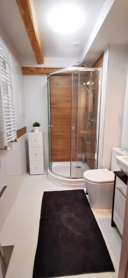 בילאווה Klimatyczny Apartament Nr 8 Z Widokiem Na Gory Sowie מראה חיצוני תמונה