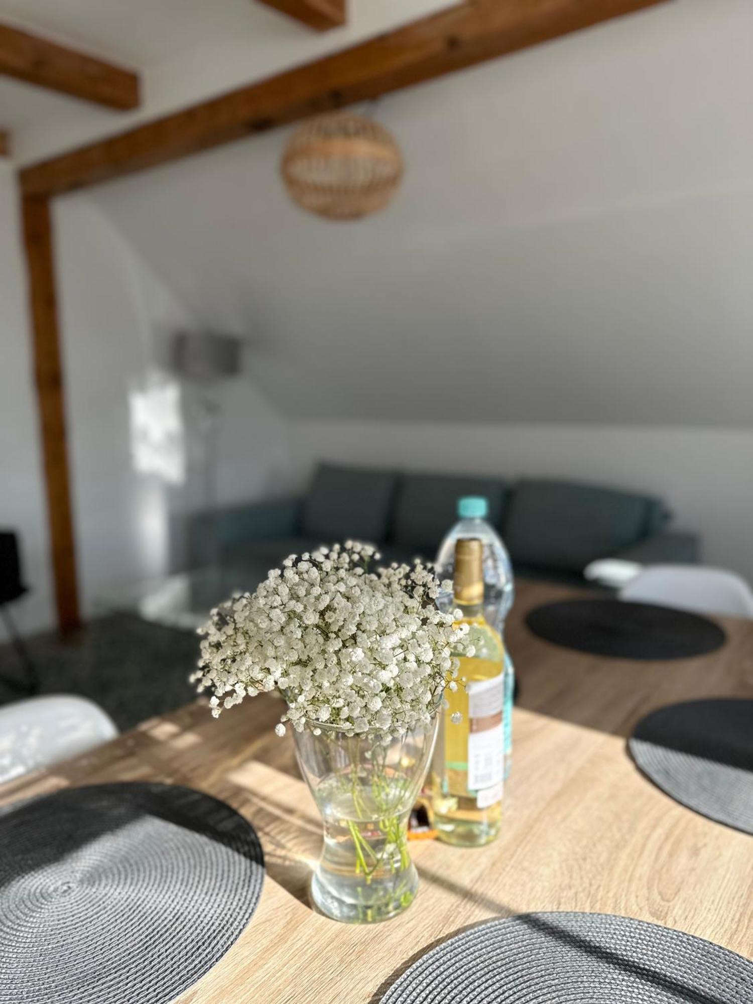 בילאווה Klimatyczny Apartament Nr 8 Z Widokiem Na Gory Sowie מראה חיצוני תמונה